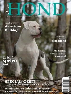 ChicoBulls Onze Hond Tijdschrift