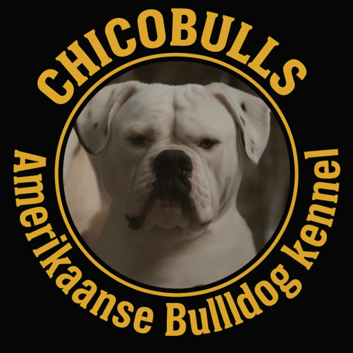 ChicoBulls